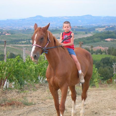 Agriturismo Podere La Marronaia San Gimignano Eksteriør billede