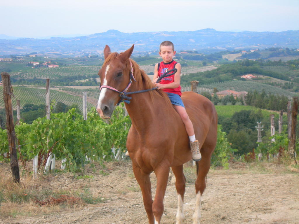 Agriturismo Podere La Marronaia San Gimignano Eksteriør billede