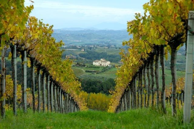 Agriturismo Podere La Marronaia San Gimignano Eksteriør billede